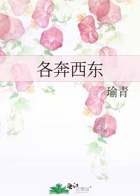 植物大战僵尸4
